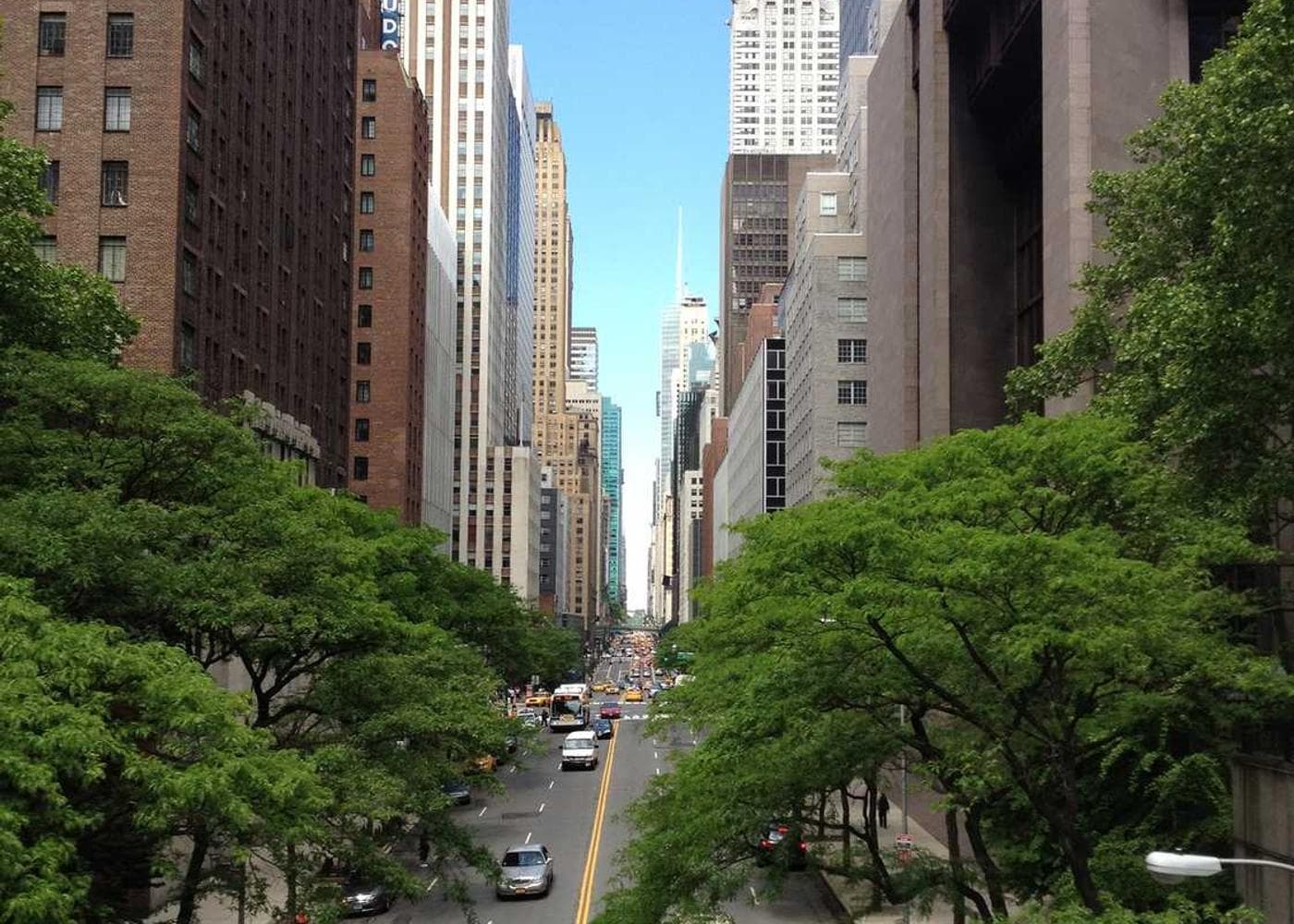 Flower exhibition gallery