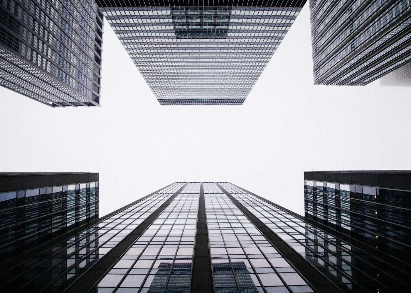 Riverside nature and greenery