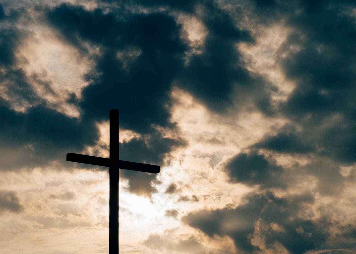 Green garden with flowerbeds