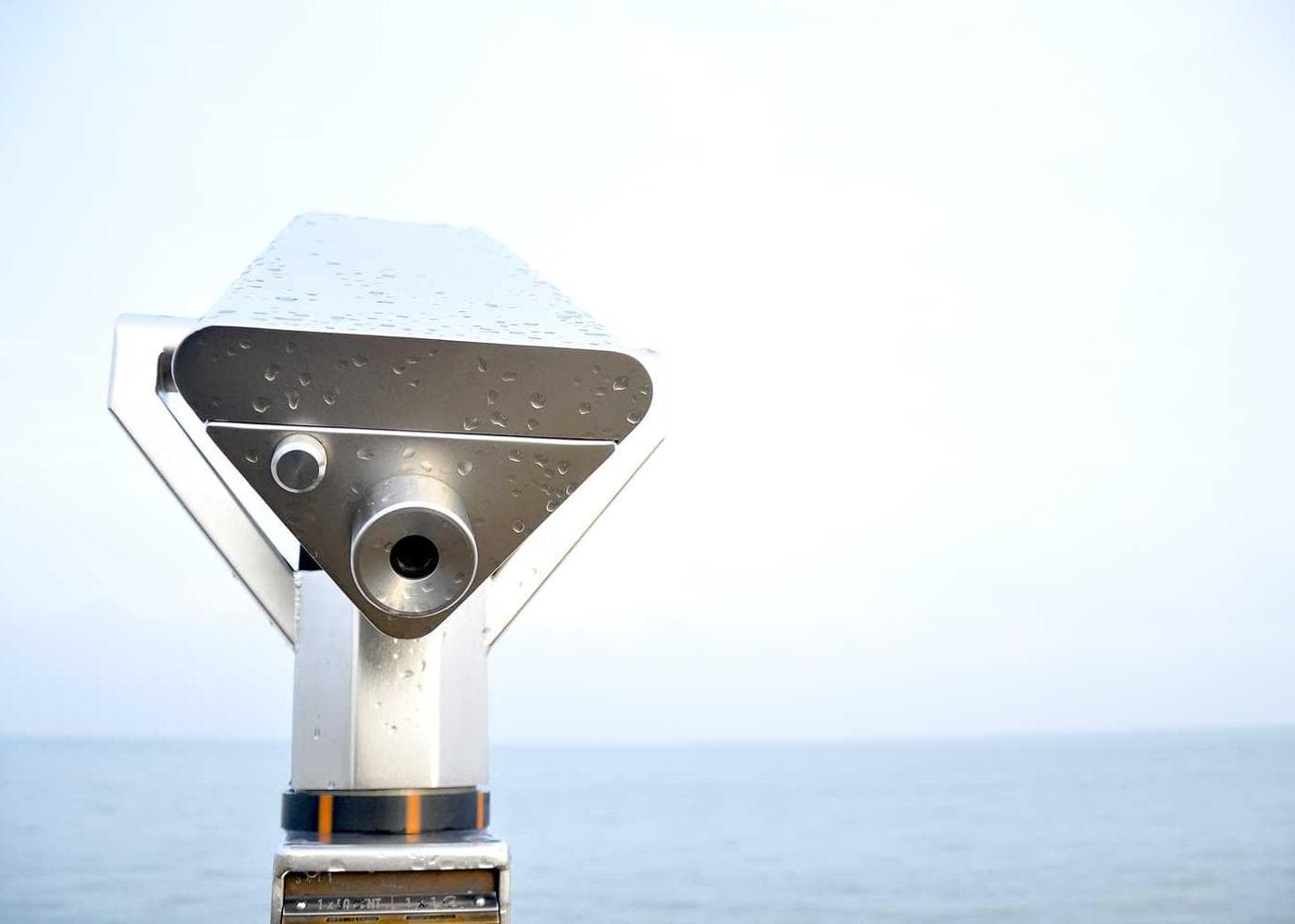 Craft workshop activity