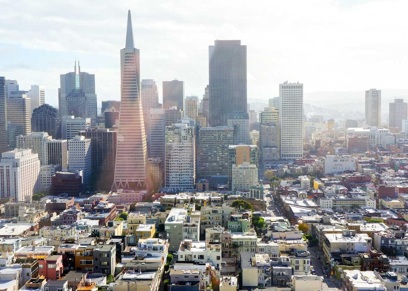 Gardening learning workshop